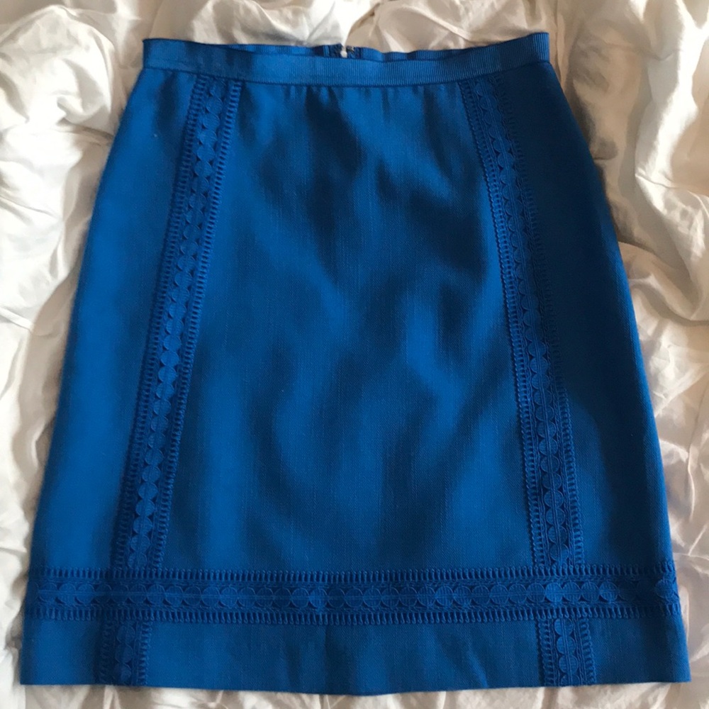 Ann Taylor Skirt